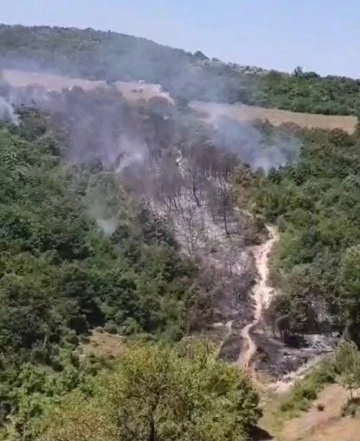 Mudanya’da makilik yangını