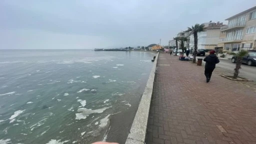 Mudanya’da endişe yaratan görüntü