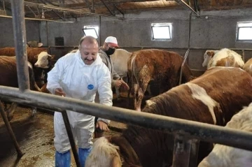 Müdür Özçalık, ”Şap hastalığını önlemek için tüm yetiştiricilerimizin anlayış ve desteğini bekliyoruz”
