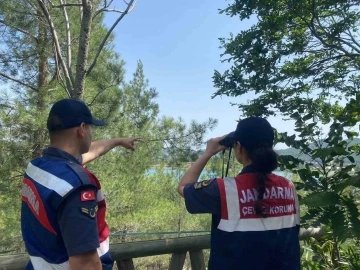 Muğla’da jandarma ekipleri orman yangınlarına karşı teyakkuza geçti
