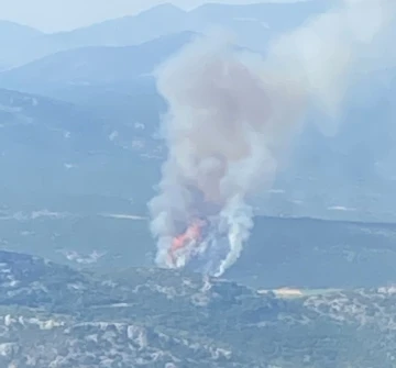 Muğla’da orman yangını
