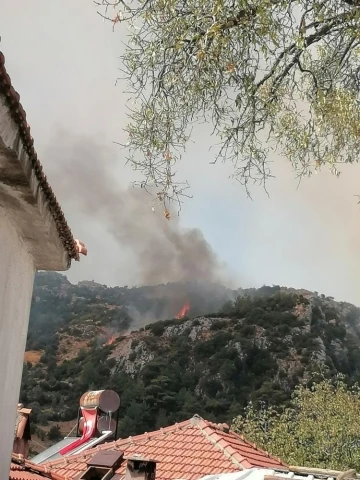 Muğla’da orman yangını
