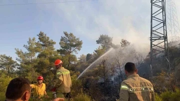 Muğla’daki orman yangını büyümeden kontrol altına alındı
