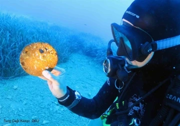 Muğla’nın ‘Mavi Miras’ı gün yüzüne çıkıyor
