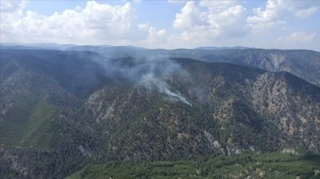 Muğla'da çıkan yangında 5 dönüm ormanlık alan zarar gördü