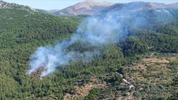 Muğla'da ormanlık alanda çıkan yangına müdahale ediliyor