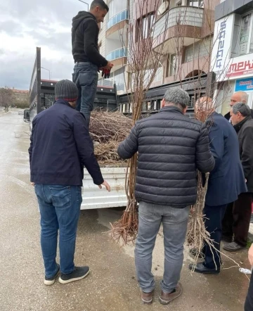 Muhtar adayı broşüryerine fidan dağıttı
