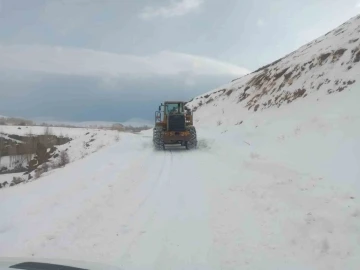 Muradiye’de yola düşen çığ temizlendi