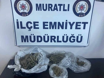 Muratlı Emniyetinden zehir tacirlerine darbe
