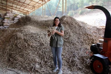 Muratpaşa’da  yeşil ekonomi anlatılacak
