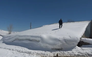 Muş’ta tek katlı evler ve ahırlar kara gömüldü
