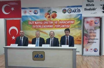 Mut’ta &quot;Taze Kayısı Üretim ve İhracatını Değerlendirme Toplantısı&quot; yapıldı
