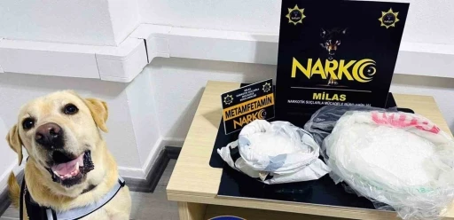 Narkotik köpeği ‘Çiko’ affetmiyor
