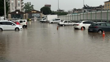 Nazilli ve Kuyucak yağışa teslim oldu
