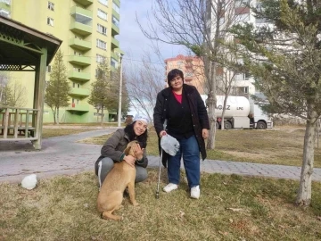 Niğdeli hayvanseverler kayıp köpekleri arıyor
