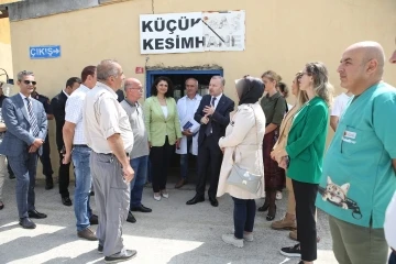 Nilüfer’de Kurban Bayramı hazırlıkları incelendi