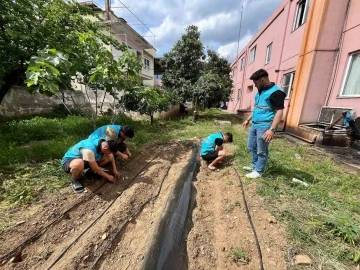 Öğrenciler yurt bahçesine sebze fidesi dikti
