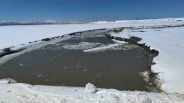 Öğretim Üyesi Akkuş: &quot;Bugünlerde yağan karın kuraklığı bir nebze olsun hafifletmesini ümit ediyoruz&quot;
