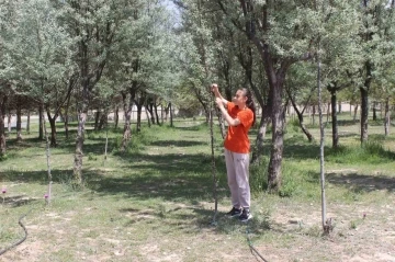 Okul bahçesine dikilen ağaçların bakımını öğrenci ve öğretmenler yapıyor
