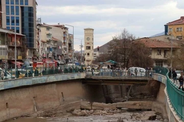 Oltu Çayı’nda köpek kurtarma operasyonu
