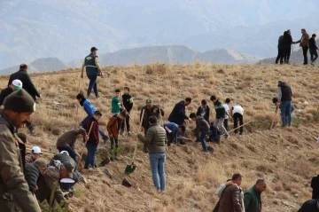 Oltu’da fidan dikimi etkinliği
