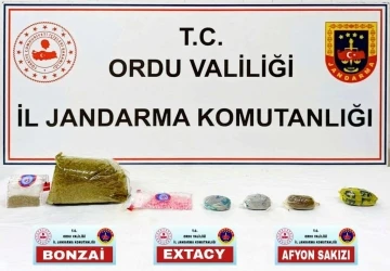 Ordu’da Jandarma KOM ekiplerinin 5 aylık faaliyeti açıklandı: 13 tutuklama
