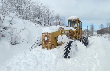 Ordu’da karla kapanan 197 mahalle yolu ulaşıma açıldı
