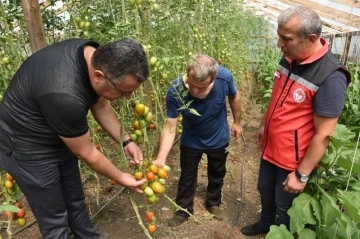 Ordu’da örtü altı yetiştiriciliği 9 yılda yüzde 80 arttı
