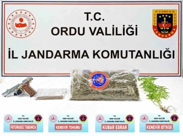 Ordu’da uyuşturucu operasyonu: 1 gözaltı
