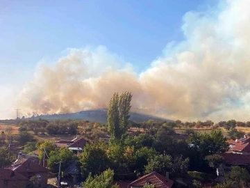 Ormana sıçrayan yangın kontrol altına alındı
