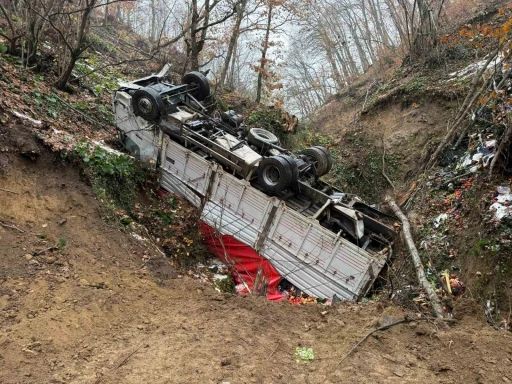 Bursa’da ormana yuvarlanan kamyon