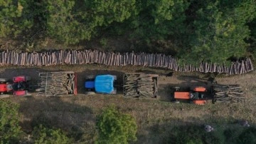 Ormanlarda bakım çalışmalarından elde edilen odunlar orman köylüsüne "yakacak" oluyor