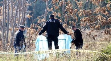 Ormanlık alanda başı ve kolları olmayan ceset bulundu