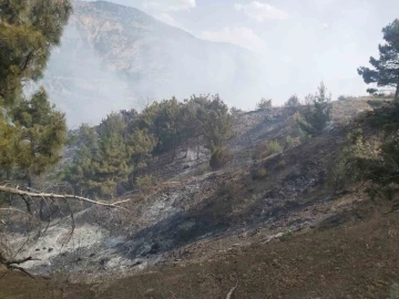 Ormanlık alanda çıkan örtü yangını söndürüldü
