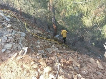 Ormanlık alandaki yangın büyümeden söndürüldü