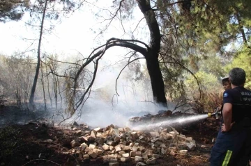 Ormanlık alandaki yangın büyümeden söndürüldü
