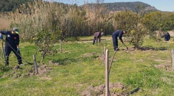 Ortaca’da çevre temizlik ve düzenlemesi devam ediyor
