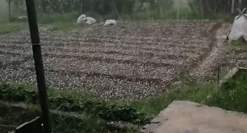 Osmancık’ta ceviz büyüklüğünde dolu yağdı