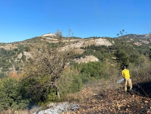 Osmaniye’de 2 noktada çıkan orman yangını söndürüldü
