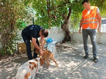 Osmaniye’de, şiddete maruz kalan köpek sahiplendirildi
