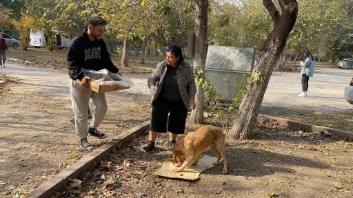 Osmaniye’de sokak hayvanları için doğaya yem bırakıldı
