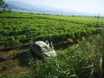 Otomobil üzüm bağına uçtu, sürücü ölümden döndü
