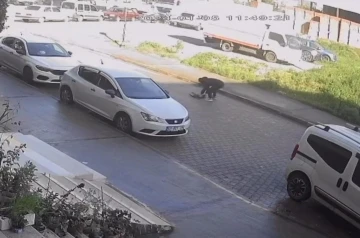 Otomobilin çarpıp kaçtığı kedi, sahibinin kucağında öldü
