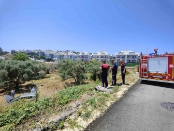 Otomobilinin el frenini çekmeyi unuttu, metrelerce peşinden koştu
