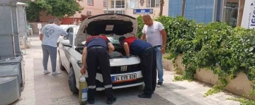 Otomobilinin marşına kedi için basamıyor
