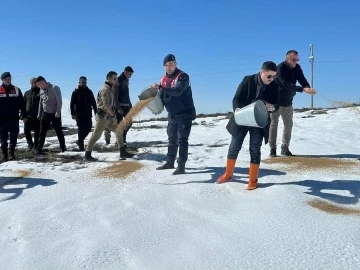 Özalp ilçesinde sokak ve yaban hayvanları için yem bırakıldı
