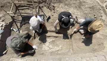 Apollon Smintheus Tapınağı’nda 1700 yıllık mezar bulundu