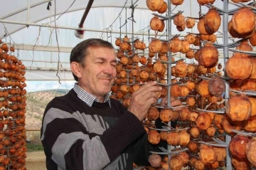 (ÖZEL) Kurutmaya bıraktıkları cennet hurmalarına adeta çocuk gibi bakıyorlar
