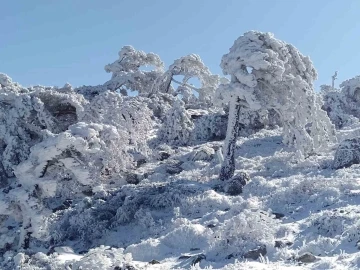 (Özel) Sibirya değil Kazdağları
