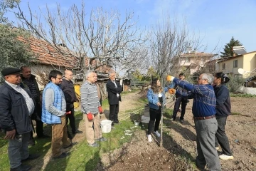 Pamukkale Belediyesinden budama ve aşılama kursu
